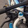 fat bike Image 5