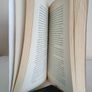 Family Matters by Robinton Mistry (RB532) Image 4