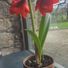 Glenda Barry1