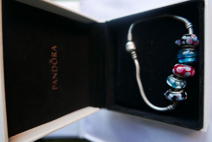Authentic Pandora Charm Bracelet with 5 Charms Sterling Silver Designer Charm Bead Bracelet 14,5g
