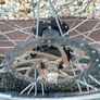 Bargin Wheels Image 8