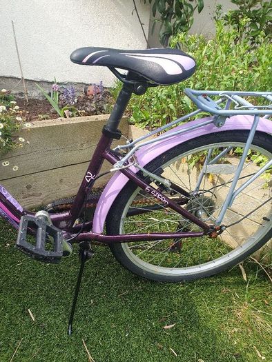 Girls  24" Bicycle/Ken Black Purple with stand and back carrier
