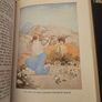 The Crock Of Gold. By James Stephens. Illustrations By Thomas Mackenzie.  1980 Hardback With Dustjacket In Good Condition.  See Photos For Same. Image 8
