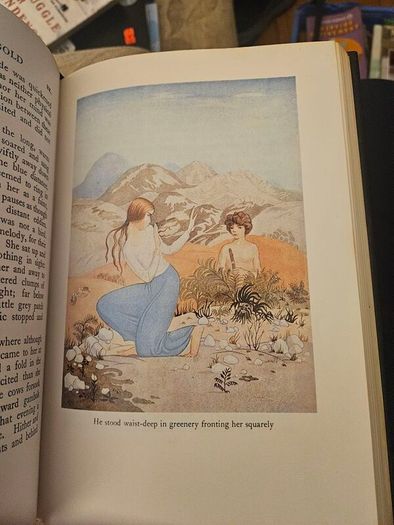 The Crock Of Gold. By James Stephens. Illustrations By Thomas Mackenzie.  1980 Hardback With Dustjacket In Good Condition.  See Photos For Same.