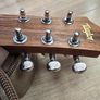 Taylor Baby Taylor BT2 Acoustic Guitar + Gig Bag Image 7