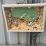 Shadow Box Image 3