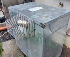 Grant Vortex Module 50-90 (15-26) Oil Boiler