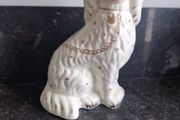 mantle dog