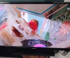 Walker 40" led tv