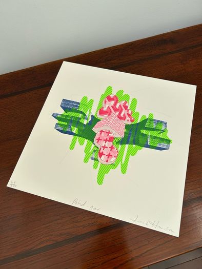 Leah Hewson / Graphic Studio Dublin, Fine Art Embossed Copperplate Etching Screen Print