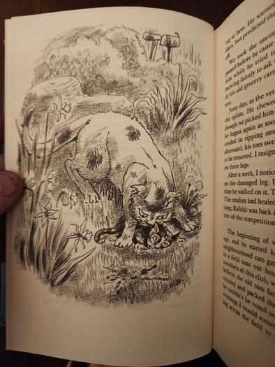 My Five Tigers. The Cats In My Life. By Lloyd Alexander. First Edition 1956.  Hardback With Dustjacket In Good Condition. 37.