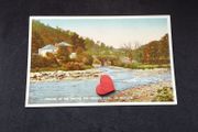 Ireland Postcard : Meeting of The Waters and Moore's Tree , Co. Wicklow - 1940s