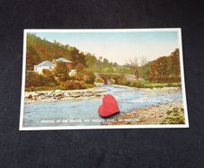 Ireland Postcard : Meeting of The Waters and Moore's Tree , Co. Wicklow - 1940s