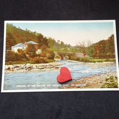 Ireland Postcard : Meeting of The Waters and Moore's Tree , Co. Wicklow - 1940s