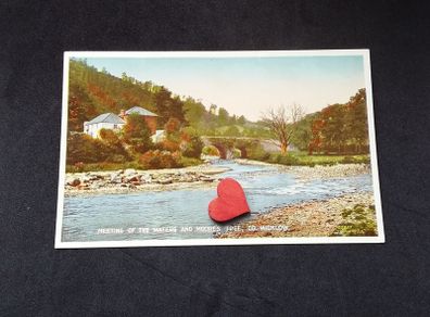 Ireland Postcard : Meeting of The Waters and Moore's Tree , Co. Wicklow - 1940s