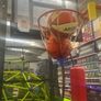 Portable basketball stand in box Image 2