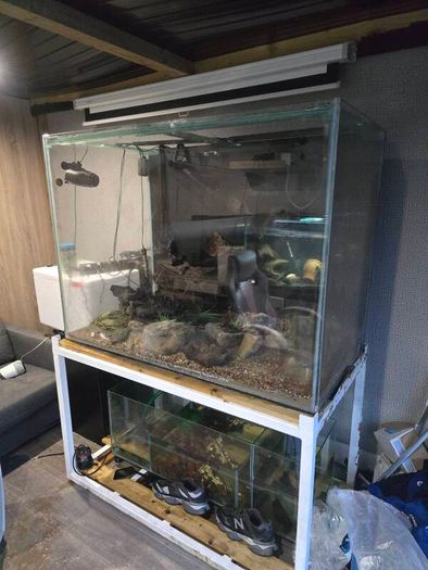 1000ltr Fish Tank Best Offer Takes It, Need It Gone Asap