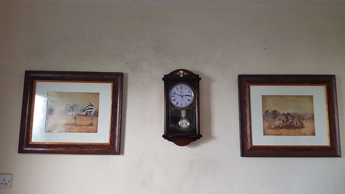 2 Piece Vanessa Jayne Large Wooden And Glass Framed Prints - Lion Family And Zebra Family
