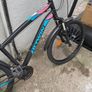 Rockrider Mountain Bike Image 8
