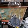 Victorian Glass Dome Image 2