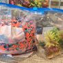 Fish tank Image 5