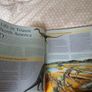 The Complete Guide to Dinosaurs and Prehistoric Reptiles Chris McNab Hardcover Image 7