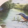Wedgwood collectors kingfisher decorative plate Image 2