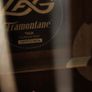 LAG Tramontane T66A Auditorium Guitar with Fishman Preys+ Pickup Image 5