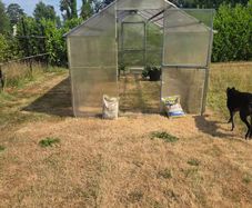 polycarbonate greenhouse
