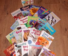 My Question and Answer Library set of 20 books by Miles Kelly, like NEW condition