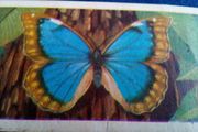Butterflies of The World. Irish Series.