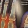 Human Body Eyewonder Enter A World Of Discovery Image 5