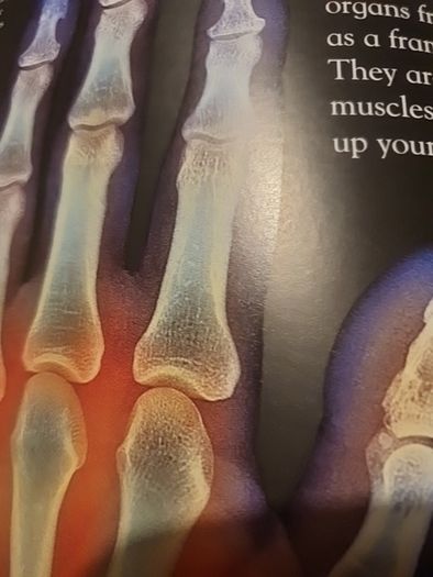 Human Body Eyewonder Enter A World Of Discovery