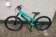 Bicycle 24 inch wheel