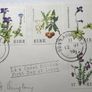 Ireland 1978 FLOWERS Fauna & Flora FDC Envelope 4 x EIRE Irish Stamps Full Set Image 2