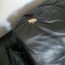 sofa 3+1.. Delivery available Image 3