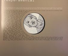 Everything but the girl Temperamental 2lp 1999 EU