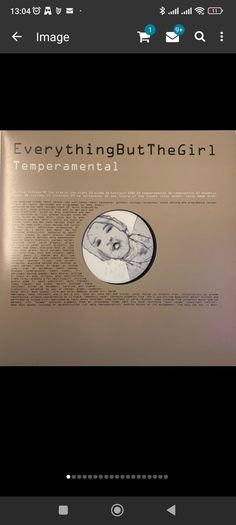 Everything but the girl Temperamental 2lp 1999 EU