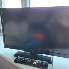 22" Bush TV and remote