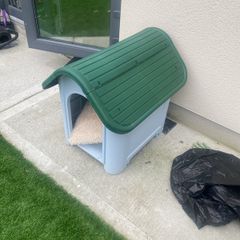 Dog house