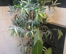 Set of fake plants
