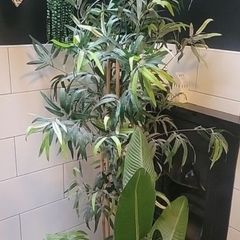 Set of fake plants