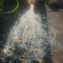 fiber optic lights Image 3