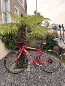 Giant Racer