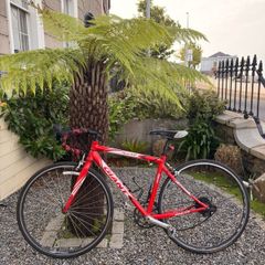 Giant Racer