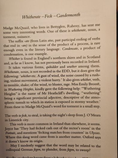 A Word In Your Ear   By Diarmaid O Muirithe. Paperback In Good Condition.