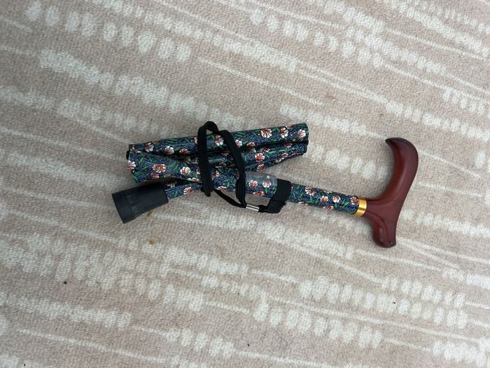 walking stick
