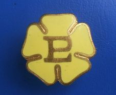 PRIMROSE LEAGUE (political organisation) - an antique Associate Member's badge (pre-1920)