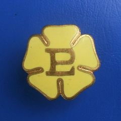 PRIMROSE LEAGUE (political organisation) - an antique Associate Member's badge (pre-1920)