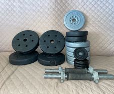 dumbbells + weights